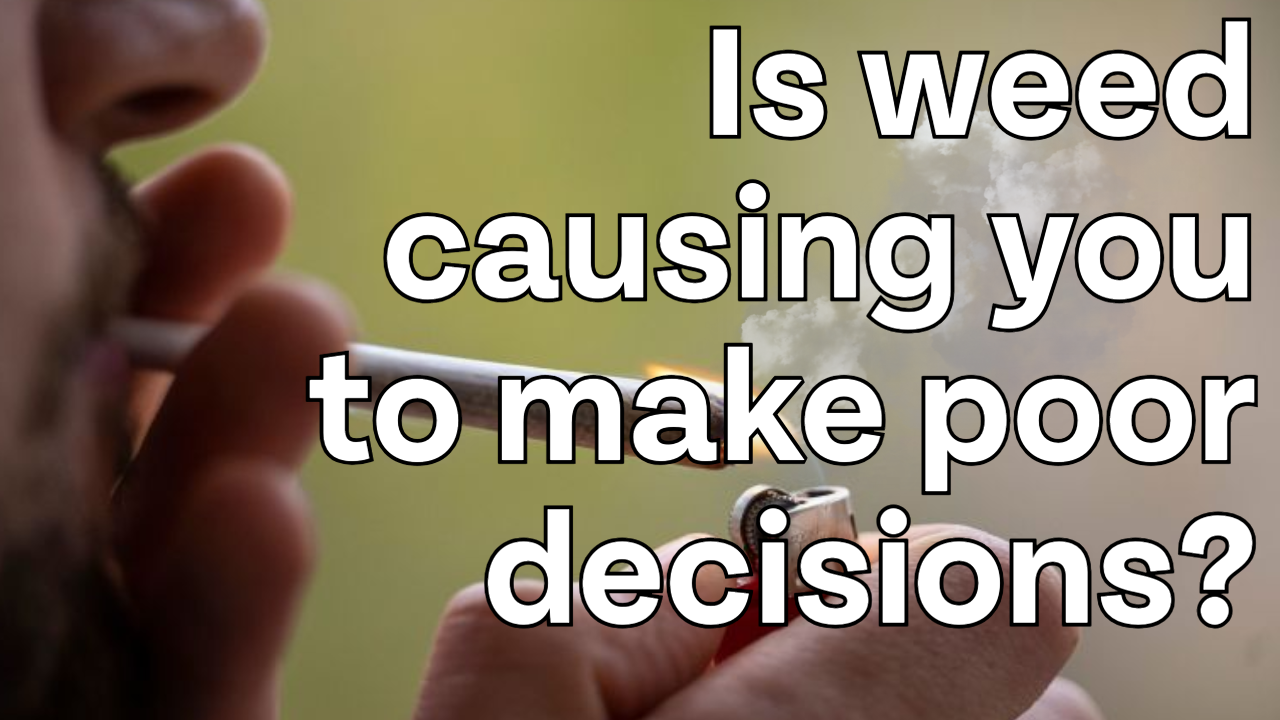 What are the lasting impacts of adolescent THC use on adult decision-making?