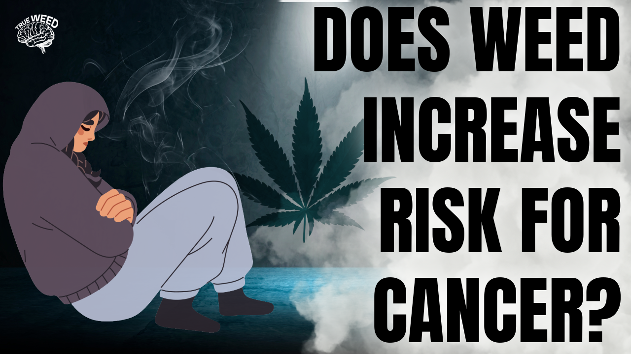 Does cannabis use increase head and neck cancer risk? 