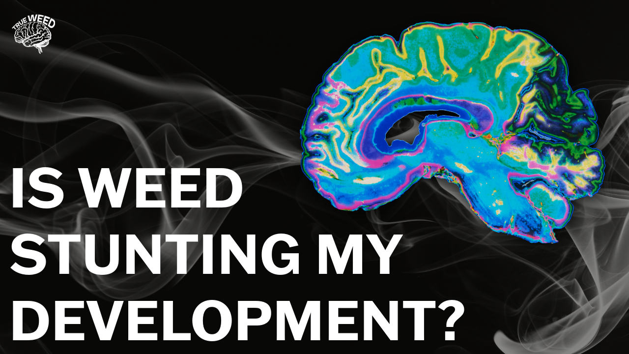 Does using cannabis have a permanent impact on developing brains?