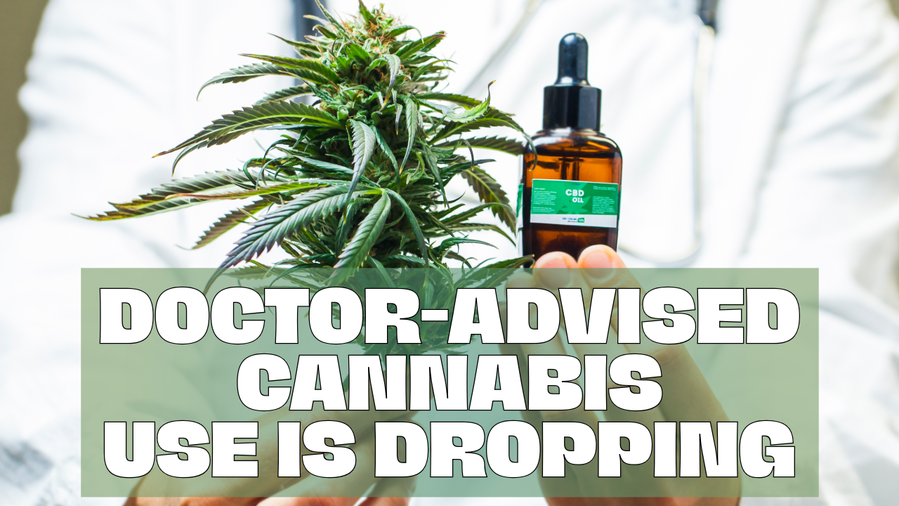 Doctor-recommended cannabis use in the era of legalization