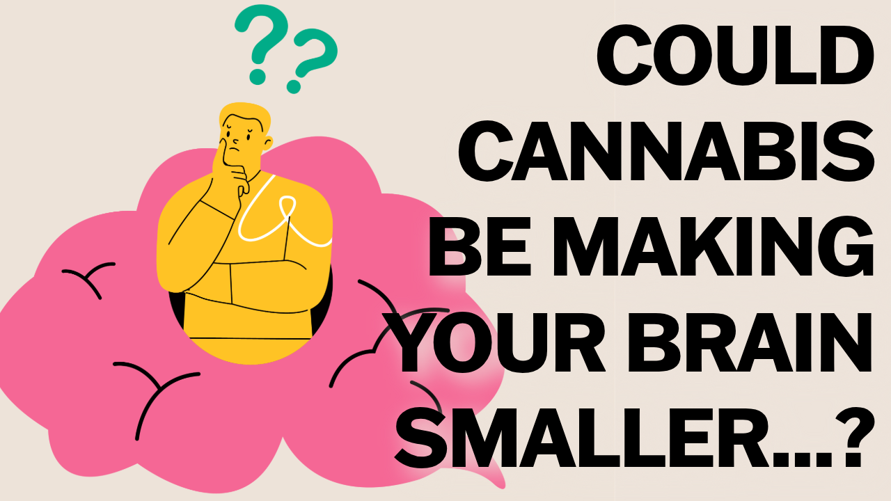 Lasting impacts of cannabis use among youth